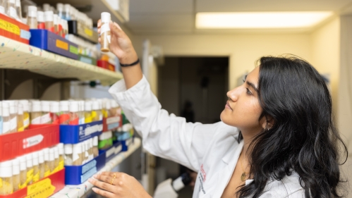 A student wearing a white lab coat examines a test tube in a lab