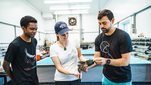 A researcher and interns work in the wet lab at the Rutgers Marine Field Station