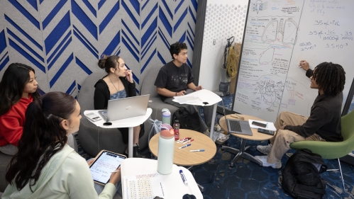 Students study in a lounge in Alexander Library