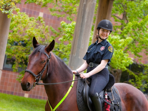 A public safety officer on horseback