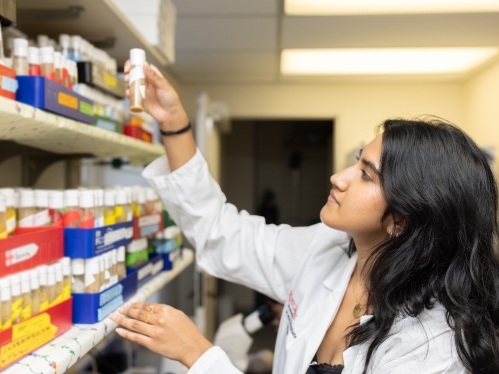 A student wearing a white lab coat examines a test tube in a lab