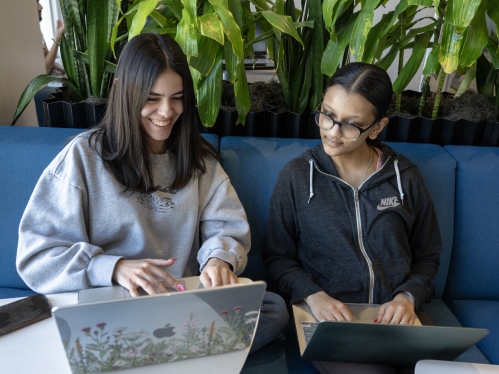 Two students study on laptops in the library 